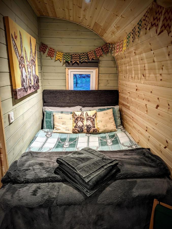 Villa Emlyn'S Coppice - Luxury Woodland Glamping à Holywell  Extérieur photo