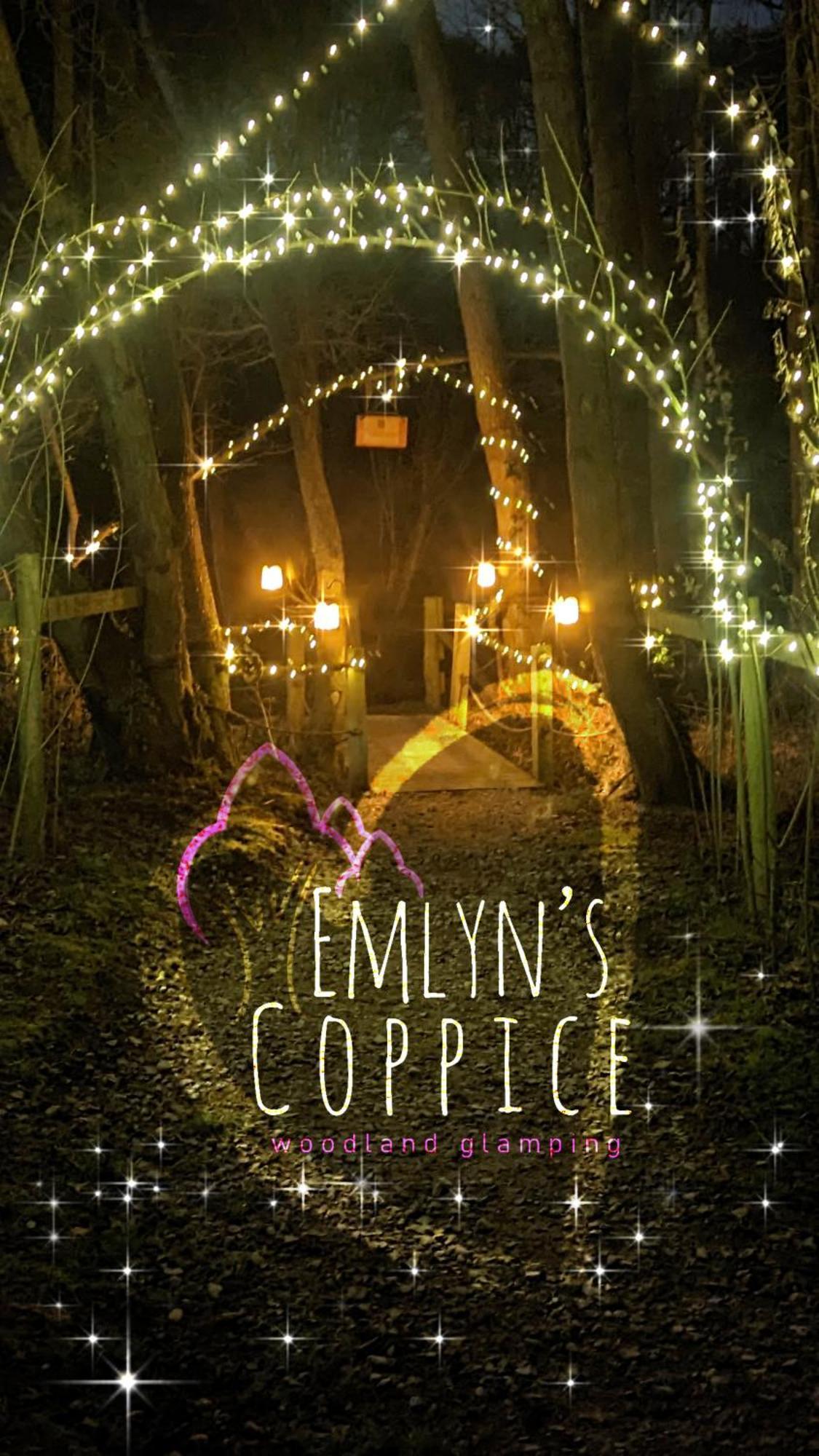 Villa Emlyn'S Coppice - Luxury Woodland Glamping à Holywell  Extérieur photo